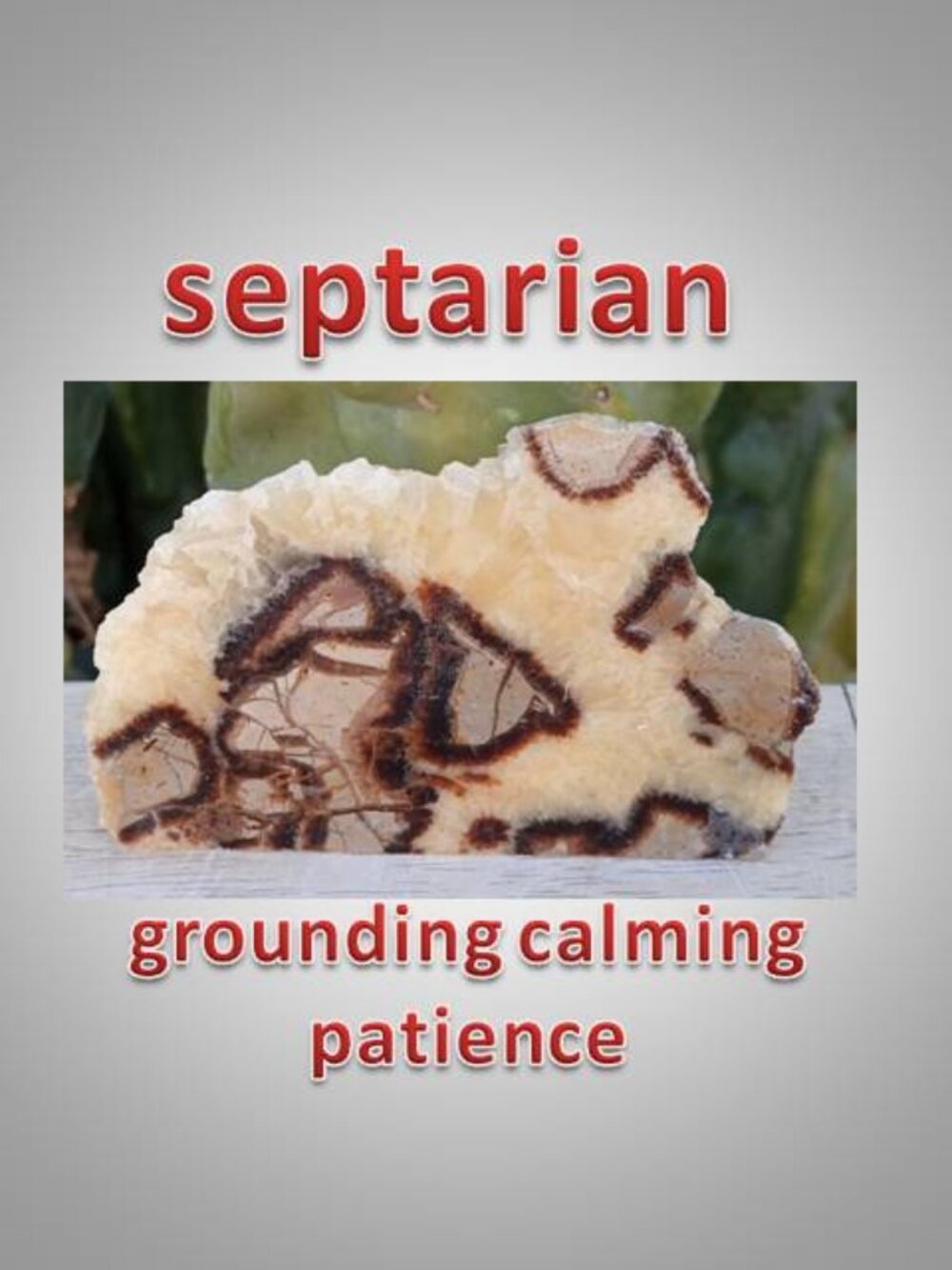 Septarian free form  rock stone crystal 03 Patience tolerance Calming